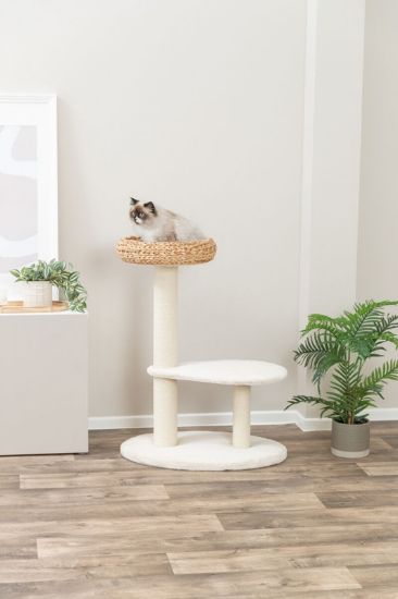 Picture of Banana leaf Albea scratching post, 90 cm, cream